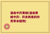 潼南中药黄精(潼南黄精中药：药食两用的珍贵草本植物)