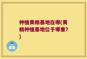 种植黄精基地在哪(黄精种植基地位于哪里？)