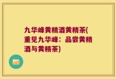 九华峰黄精酒黄精茶(重见九华峰：品尝黄精酒与黄精茶)