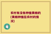 农村有没有种植黄精的(黄精种植在农村的情况)