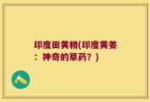 印度田黄精(印度黄姜：神奇的草药？)