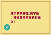 威宁黄精种植(威宁县：种植黄精助推农村振兴)