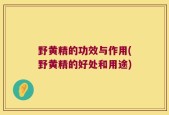 野黄精的功效与作用(野黄精的好处和用途)