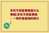 多花不倒苗黄精是什么黄精(多花不倒苗黄精：一种药用植物的简介)