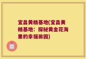 宜昌黄精基地(宜昌黄精基地：探秘黄金花海里的幸福田园)