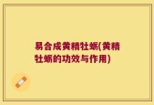 易合成黄精牡蛎(黄精牡蛎的功效与作用)