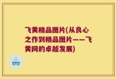 飞黄精品图片(从良心之作到精品图片——飞黄网的卓越发展)