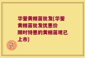 华蓥黄精苗批发(华蓥黄精苗批发优惠价  限时特惠的黄精苗现已上市)