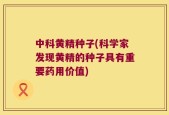 中科黄精种子(科学家发现黄精的种子具有重要药用价值)