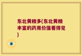 东北黄精多(东北黄精丰富的药用价值看得见)