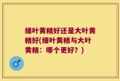 细叶黄精好还是大叶黄精好(细叶黄精与大叶黄精：哪个更好？)