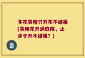 多花黄精只开花不结果(黄精花开满庭院，止步于开不结果？)