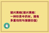 建兴黄精(建兴黄精：一种珍贵中药材，拥有多重功效与保健价值)