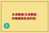 大滇黄精(大滇黄精：珍稀植物走进药房)