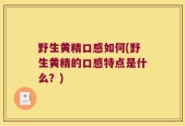 野生黄精口感如何(野生黄精的口感特点是什么？)