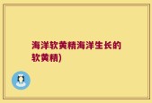 海洋软黄精海洋生长的软黄精)