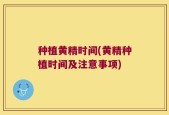 种植黄精时间(黄精种植时间及注意事项)