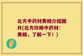 北方中药材黄精介绍图片(北方珍稀中药材：黄精，了解一下！)