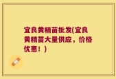 宜良黄精苗批发(宜良黄精苗大量供应，价格优惠！)