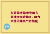 东莞黄精黄精种植(东莞种植优质黄精，助力中医药健康产业发展)