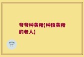 爷爷种黄精(种植黄精的老人)