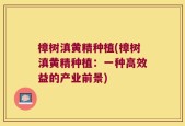 樟树滇黄精种植(樟树滇黄精种植：一种高效益的产业前景)