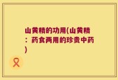 山黄精的功用(山黄精：药食两用的珍贵中药)