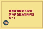 黄姜和黄精怎么辨别(两种黄色植物该如何区分？)