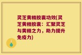 灵芝黄精胶囊功效(灵芝黄精胶囊：汇聚灵芝与黄精之力，助力提升免疫力)