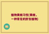 植物黄精习性(黄精，一种常见的野生植物)