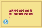 山黄精宁波(宁波山黄精：奇珍异草寻求复兴)