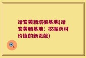 靖安黄精培植基地(靖安黄精基地：挖掘药材价值的新贡献)