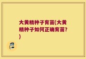 大黄精种子育苗(大黄精种子如何正确育苗？)
