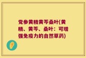 党参黄精黄芩桑叶(黄精、黄芩、桑叶：可增强免疫力的自然草药)
