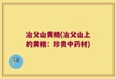 冶父山黄精(冶父山上的黄精：珍贵中药材)
