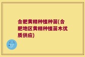 合肥黄精种植种苗(合肥地区黄精种植苗木优质供应)
