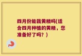 四月份能栽黄精吗(适合四月种植的黄精，您准备好了吗？)