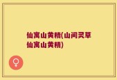 仙寓山黄精(山间灵草仙寓山黄精)