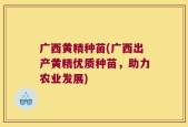 广西黄精种苗(广西出产黄精优质种苗，助力农业发展)