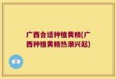 广西合适种植黄精(广西种植黄精热潮兴起)