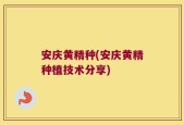安庆黄精种(安庆黄精种植技术分享)
