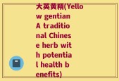 大英黄精(Yellow gentian A traditional Chinese herb with potential health benefits)