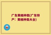 广东黄精种类(广东特产：黄精种类大全)