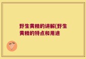 野生黄精的讲解(野生黄精的特点和用途