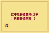 辽宁能种植黄精(辽宁：黄精种植新宠！)