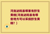 河南泌阳县哪里有野生黄精(河南泌阳县有哪些地方可以采摘野生黄精？)