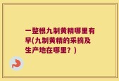 一整根九制黄精哪里有早(九制黄精的采摘及生产地在哪里？)