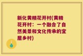 新化黄精花开村(黄精花开村：一个融合了自然美景和文化传承的宜居乡村)