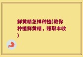 鲜黄精怎样种植(教你种植鲜黄精，赚取丰收)