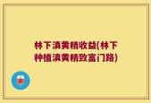 林下滇黄精收益(林下种植滇黄精致富门路)